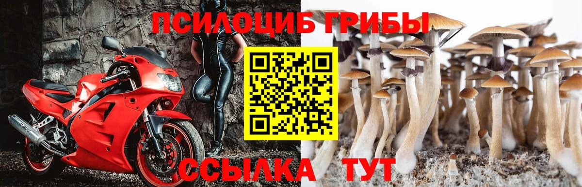 Псилоцибиновые грибы мицелий  Вход с VPN  Отрадное 